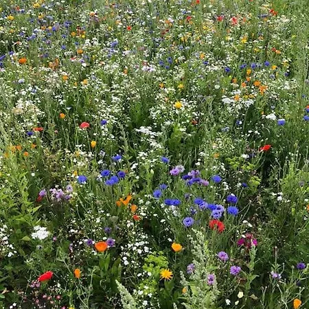 Skont Fiskerhus. Taet Pa By, Havn Og Havet * Marstal