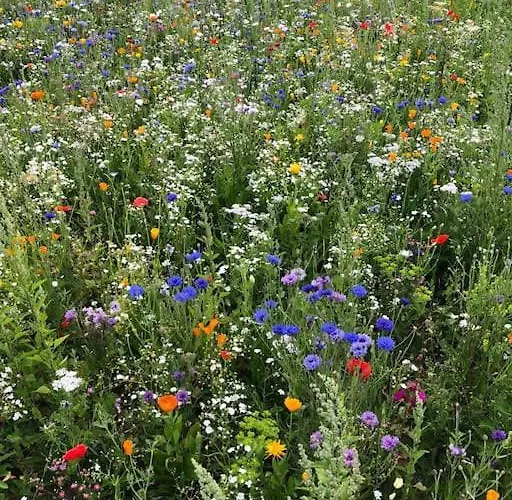 Skont Fiskerhus. Taet Pa By, Havn Og Havet * Marstal